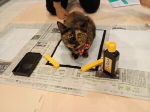 おとなしいだけじゃないサビ猫