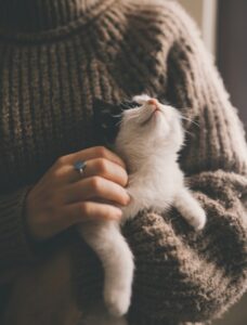 子猫とのふれあい