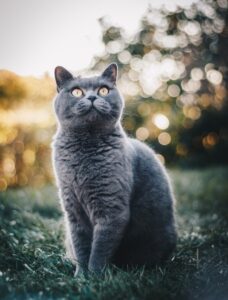 全身が映る写真