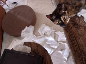 いたずらしてティッシュを出しまくるうちのサビ猫